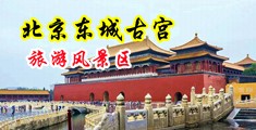 黄色插逼视频中国北京-东城古宫旅游风景区